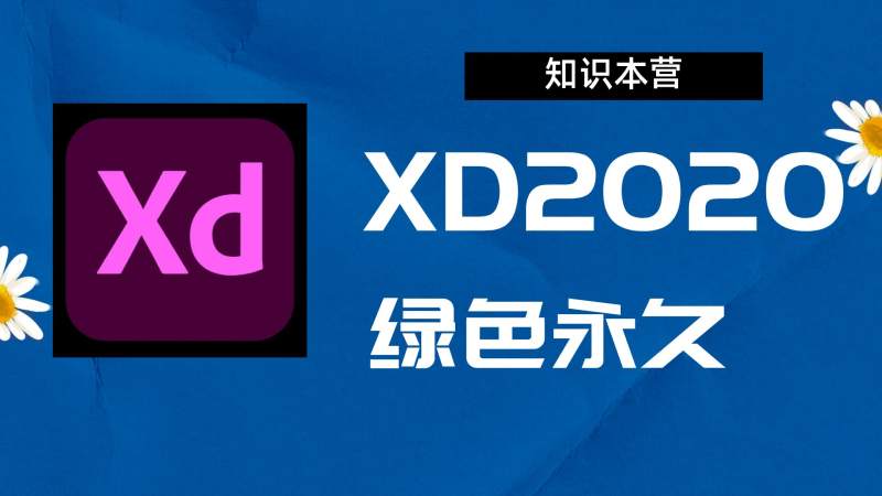 XD2020破解版|Adobe 2020PL Win中文破解-站长亲测
