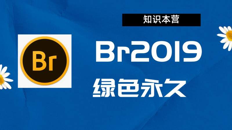 br2019破解版|Adobe 2019Br Win中文破解-站长亲测