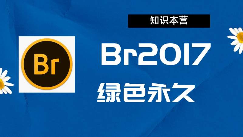 br2017破解版|Adobe 2017Br Win中文破解-站长亲测.