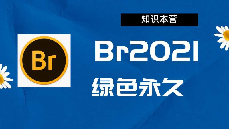 br2021破解版|Adobe 2021Br Win中文破解-站长亲测.