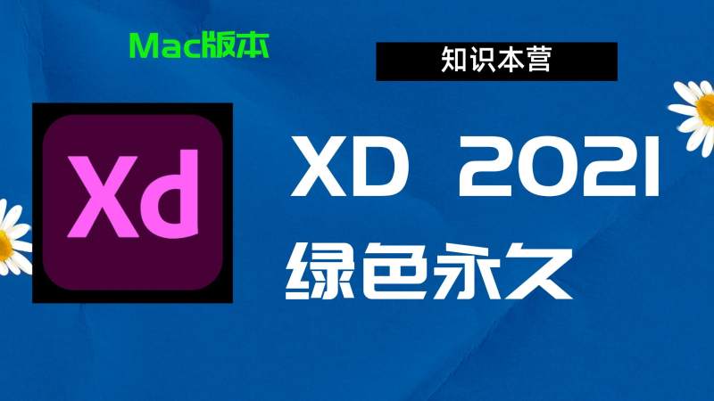 XD2021破解版,Adobe 2021xd,Mac中文破解-站长亲测