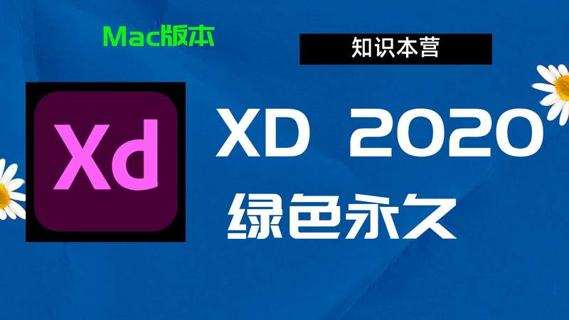 XD2020破解版,Adobe 2020xd,Mac中文破解-站长亲测