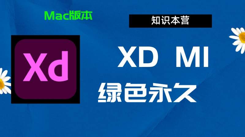 XDM1破解版|Adobe M1 xd Mac中文破解-站长亲测