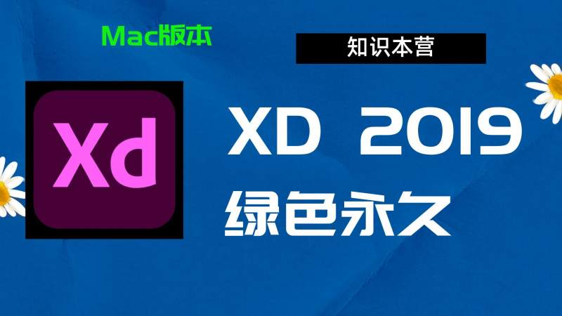 XD2019破解版,Adobe 2019xd,Mac中文破解-站长亲测
