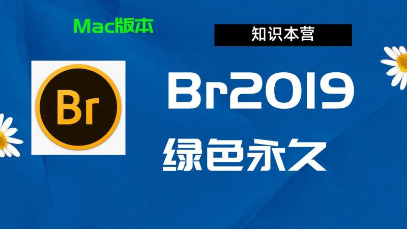 Br2019下载,破解版下载Adobe,2019Br,Mac中文破解-站长亲测