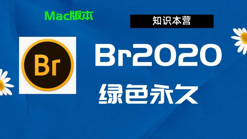 Br2020下载,破解版下载Adobe,2020Br,Mac中文破解-站长亲测