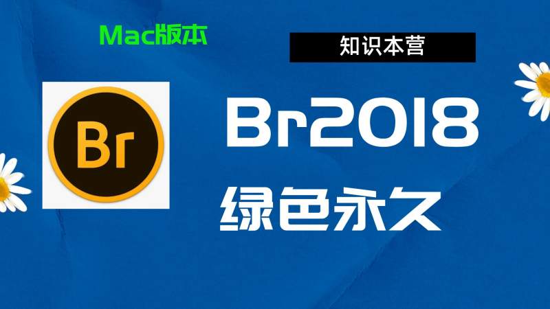 Br2018下载,破解版下载Adobe,2018Br,Mac中文破解-站长亲测