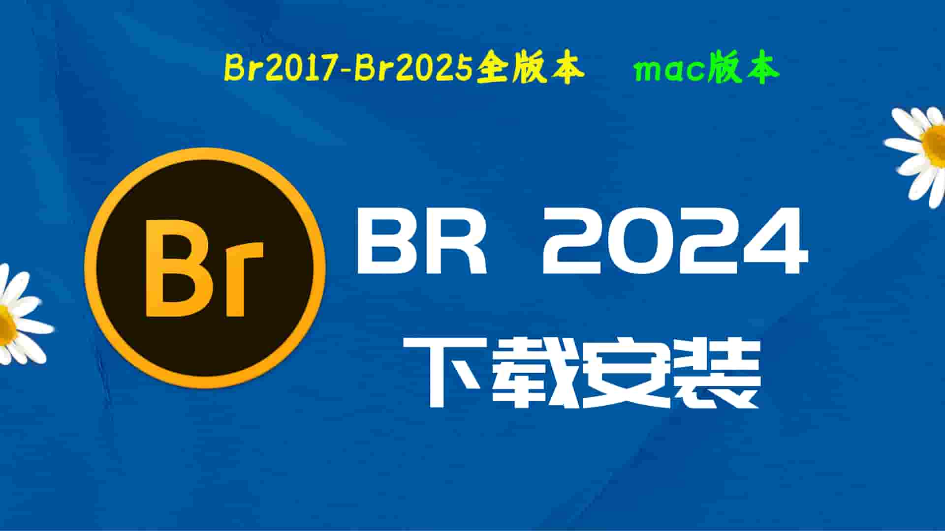 Br2024破解版|Adobe 2024Br Mac中文破解-傻瓜式安装亲测