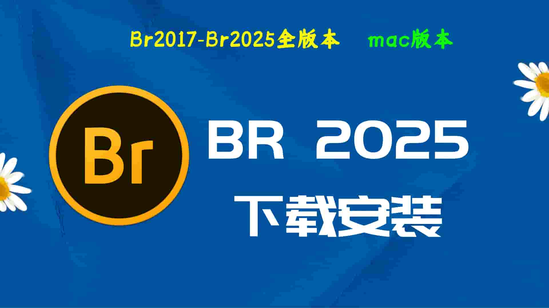 Br2025破解版|Adobe 2025Br Mac中文破解-傻瓜式安装亲测