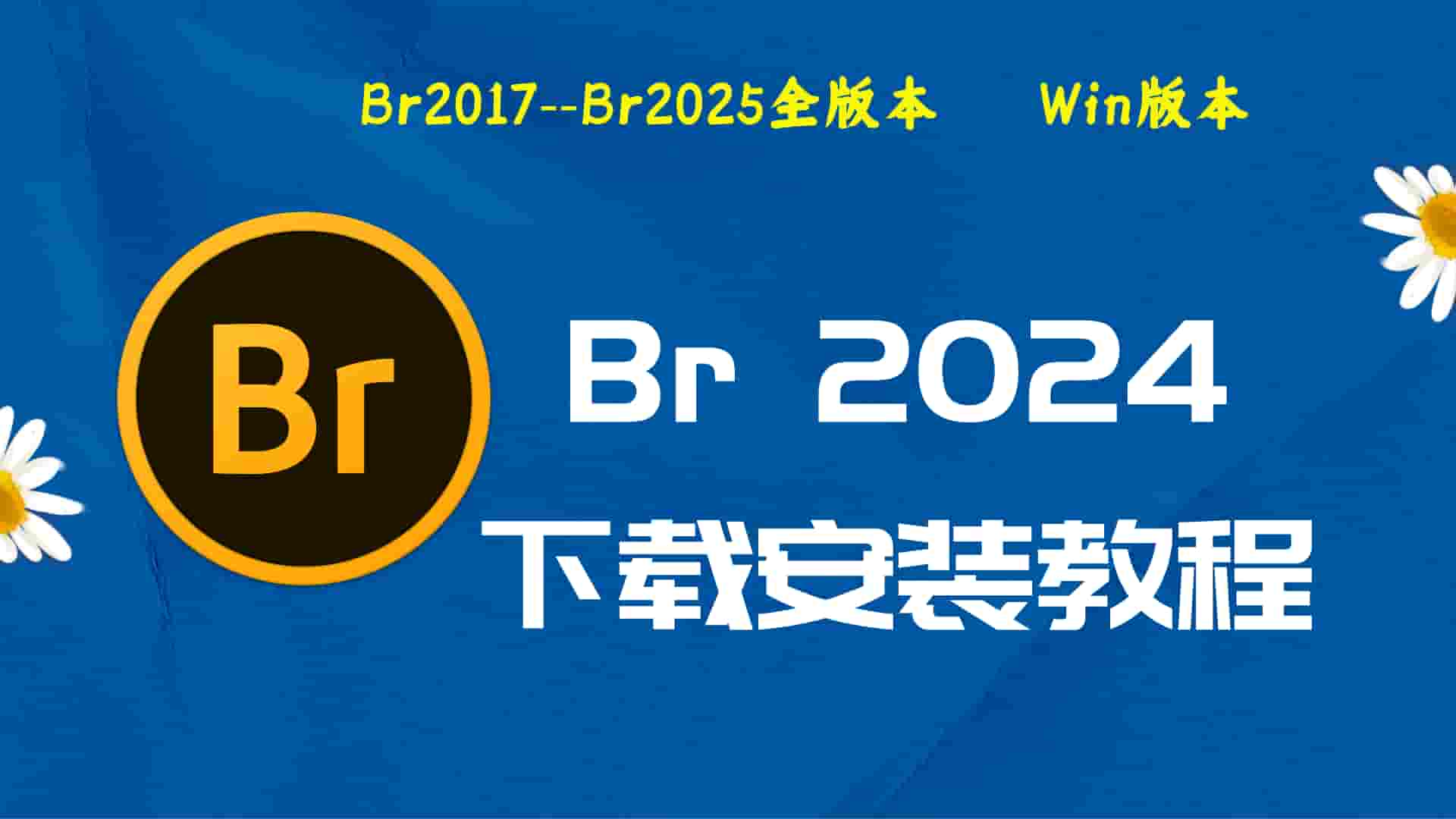 Br2024破解版|Adobe 2024Br Win中文破解-傻瓜式安装亲测