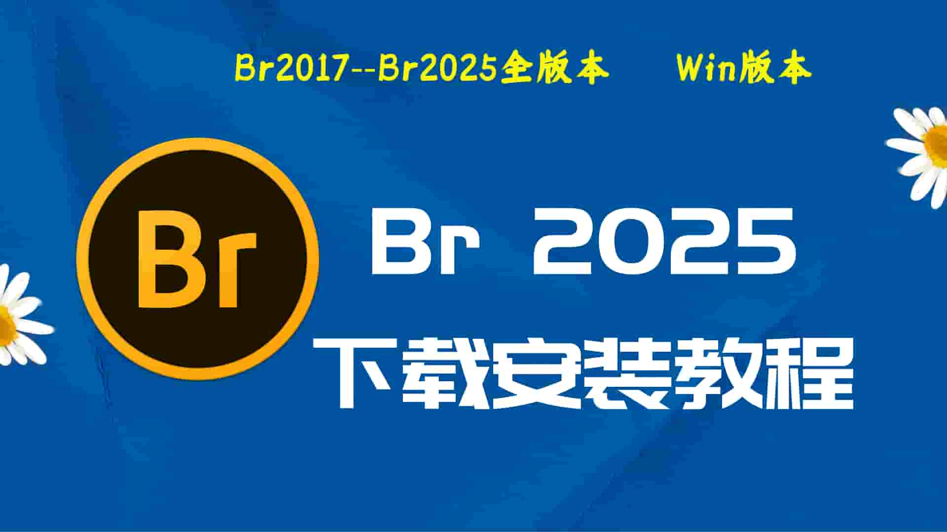 Br2025破解版|Adobe 2025Br Win中文破解-傻瓜式安装亲测